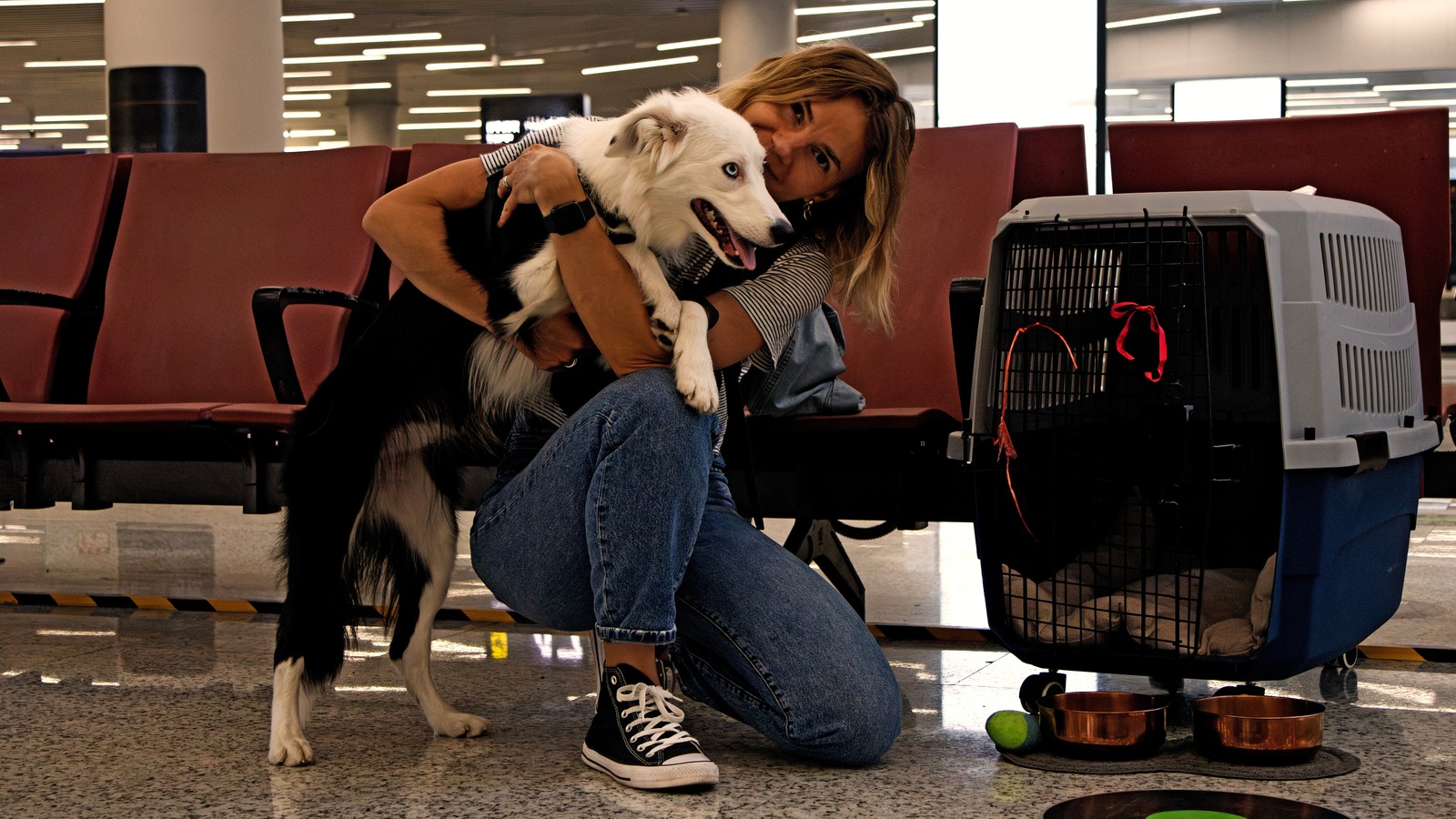 Pet Travel Overview | Delta Air Lines