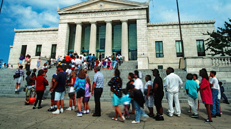 People waiting in line to enter the Shedd Aquarium