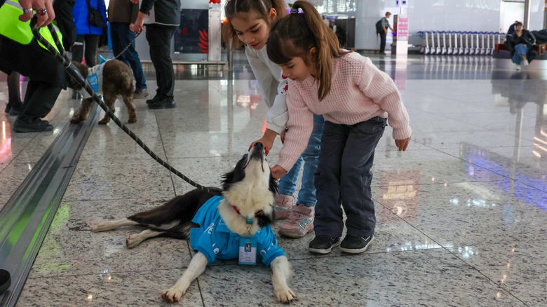 Two children petting an airport therapy dog