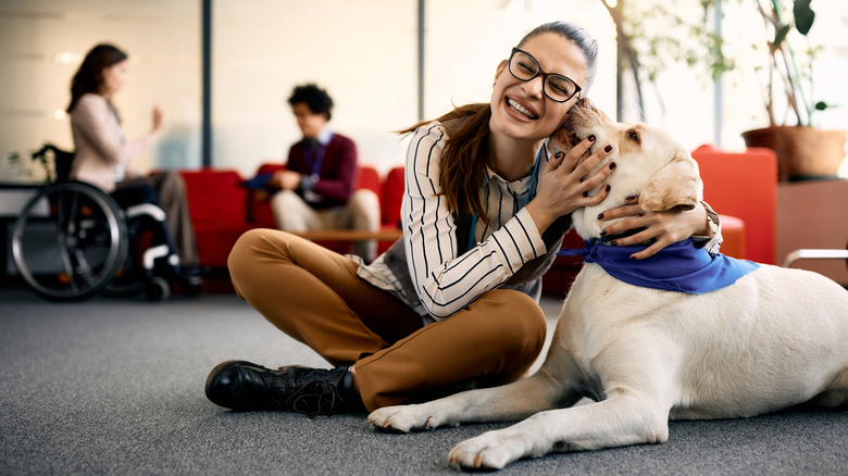 A smiling person sitting on the floor being licked by a yellow Labrador therapy dog