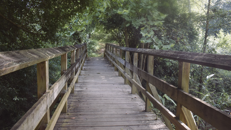 Wooden bridge on the riverside in Newnan, Georgia