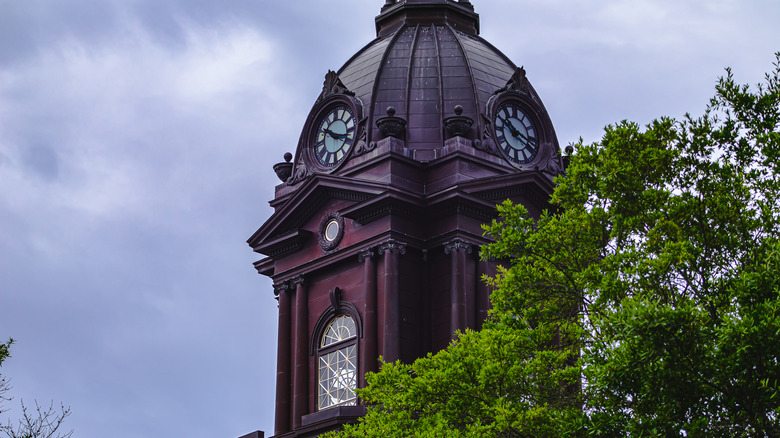 Public courthouse behind green tree in Newnan, Georgia