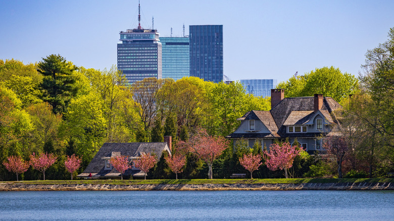 Brookline Reservoir Park
