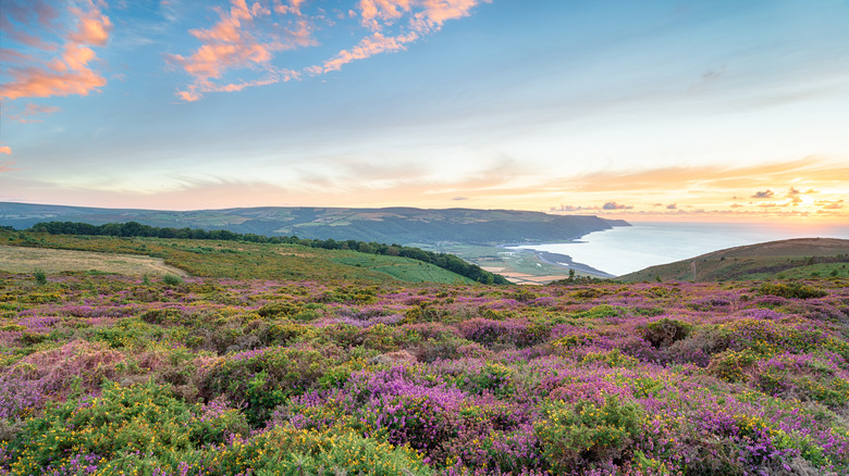 Sunset over Bossington Hill above Minehead on the Somerset coast