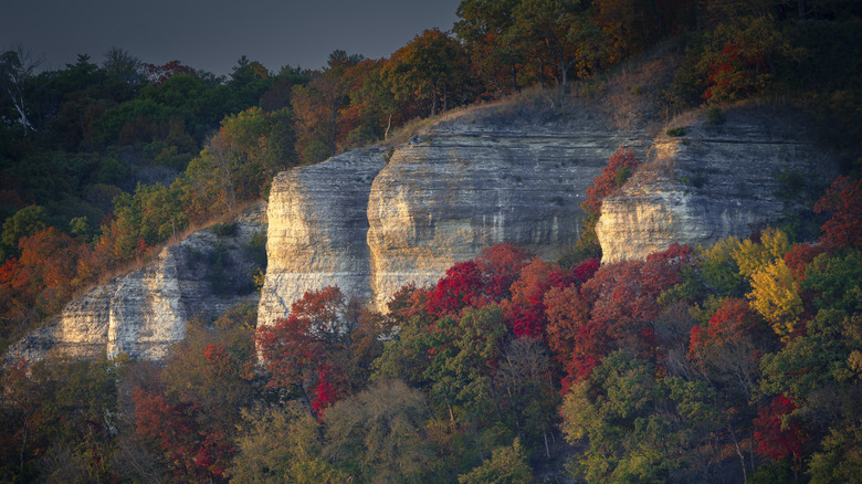 Large rockface covered in colorful trees during fall