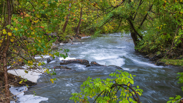 Keuka Outlet Creek in Penn Yan, New York