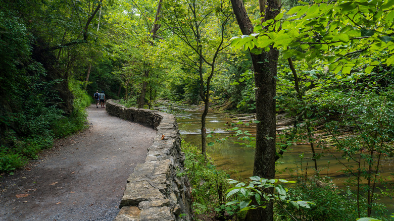 river flows through the Natural Bridge State Park