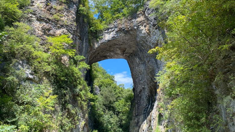 Natural Bridge State Park in Virginia