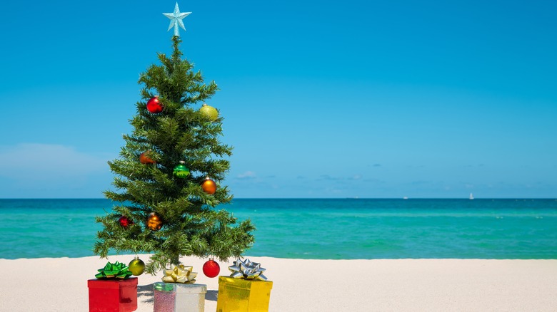 Christmas tree on the beach