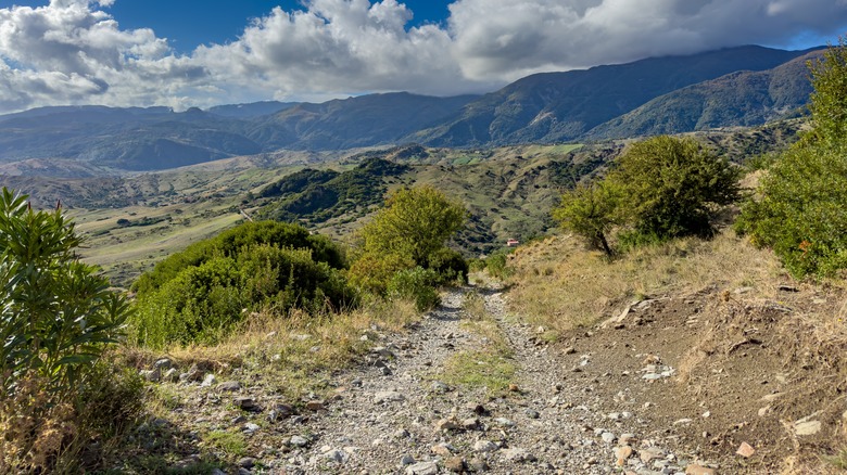a hiking trail in Aspromonte National Park in Calabria, Italy