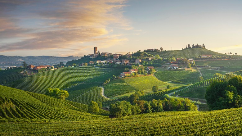 Village on a hill surrounded by vineyards in Northern Italy