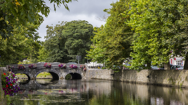 A stone bridge covered in flowers over the Carrowbeg River in Westport, Ireland