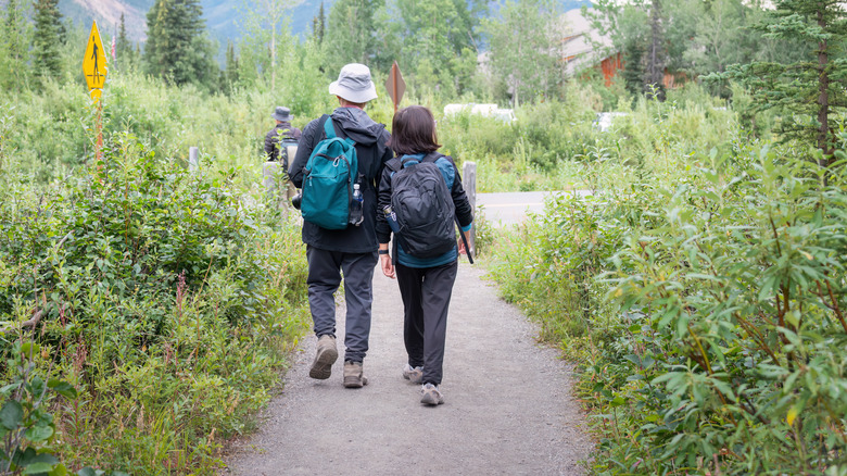 Two people walking through Denali National Park
