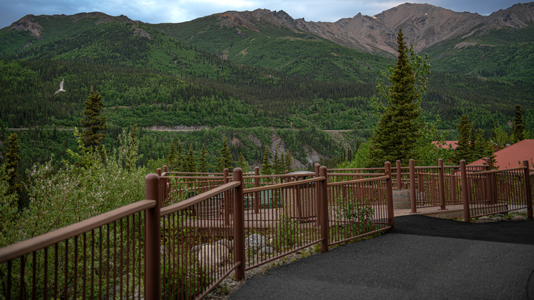 Scenic mountain view in Denali National Park