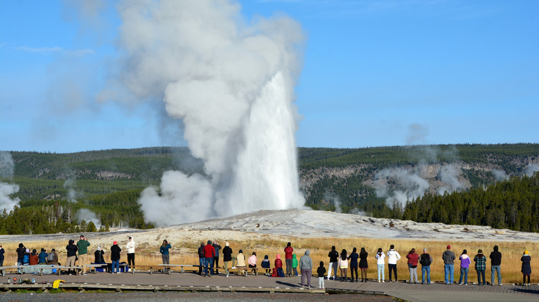 Crowd watching Old Faithful Geyser erupt