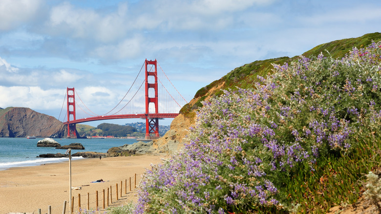 Golden gate bridge at Marshall beach, San Francisco