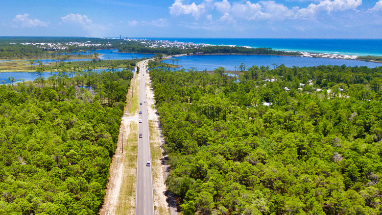 road through forest leading to lakes and ocean