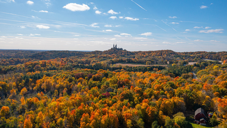 Basilica with surrounding forest