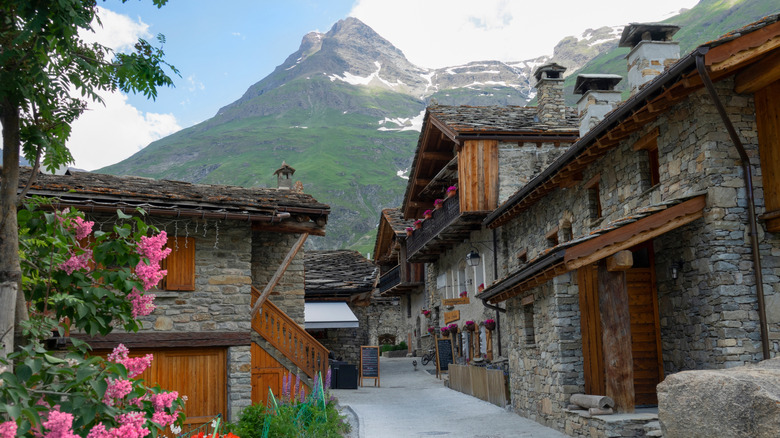 Beautiful pink flowers grow in a garden of Bonneval Sur Arc with Mont Albaron in the background