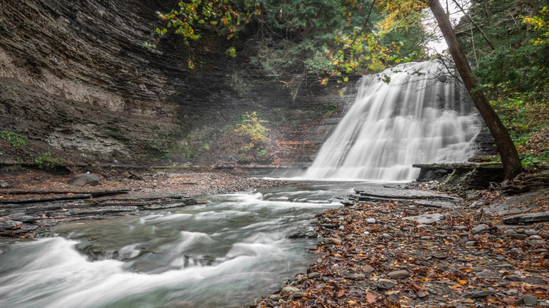 Fall Foliage at a waterfall in Stony Brook State Park