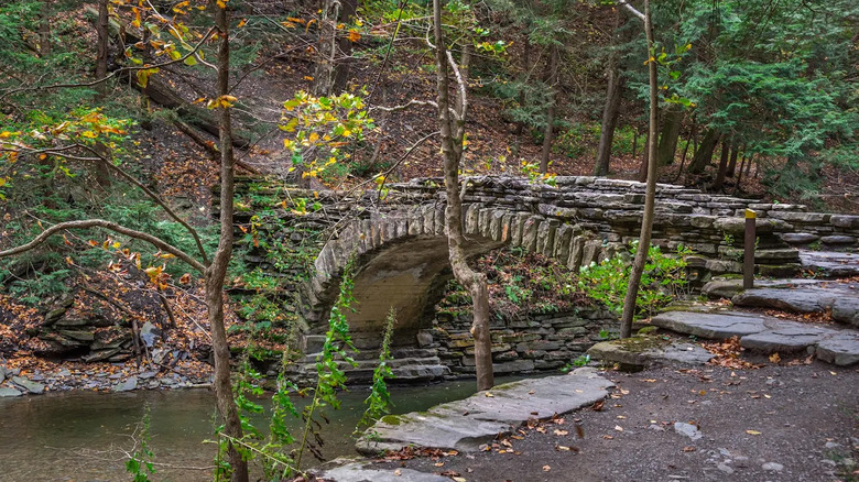 Stone bridge in the autumun in Stony Brook State Park
