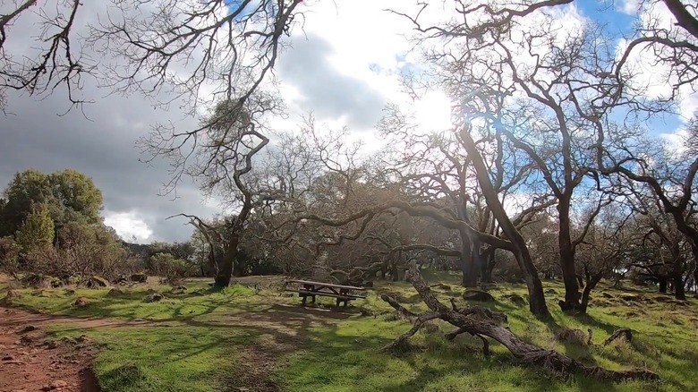 Trione-Annadel State Park, California