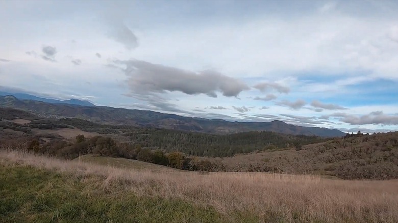 Trione-Annadel State Park, California