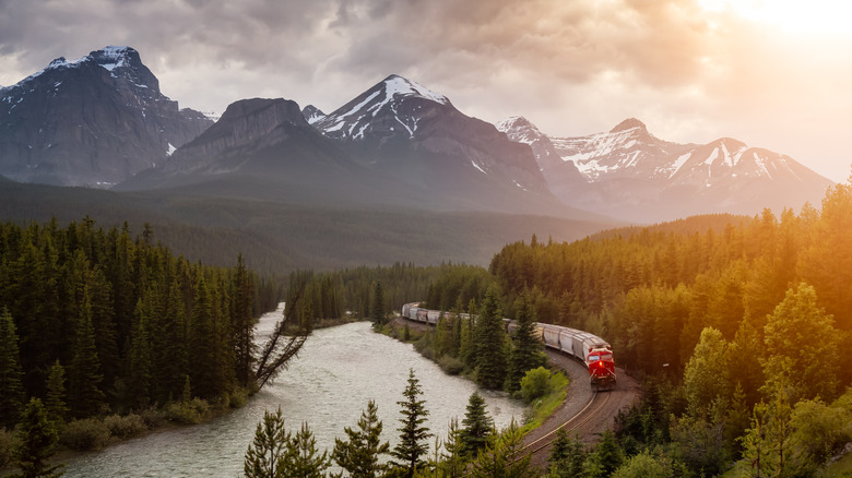 A train going along a river with pine forests around and the Canadian Rockies in the distance