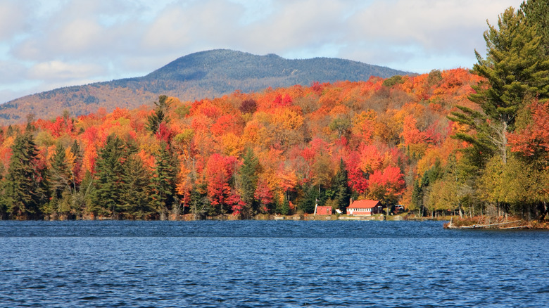 Autumn leaves on trees along lake with mountains