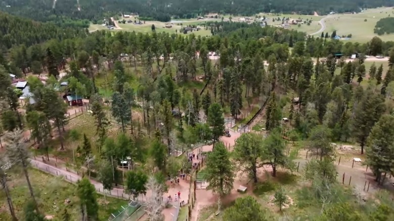 A view of colorado wolf and wildlife center