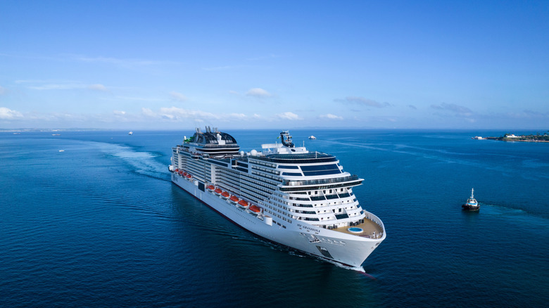 Cruise ship