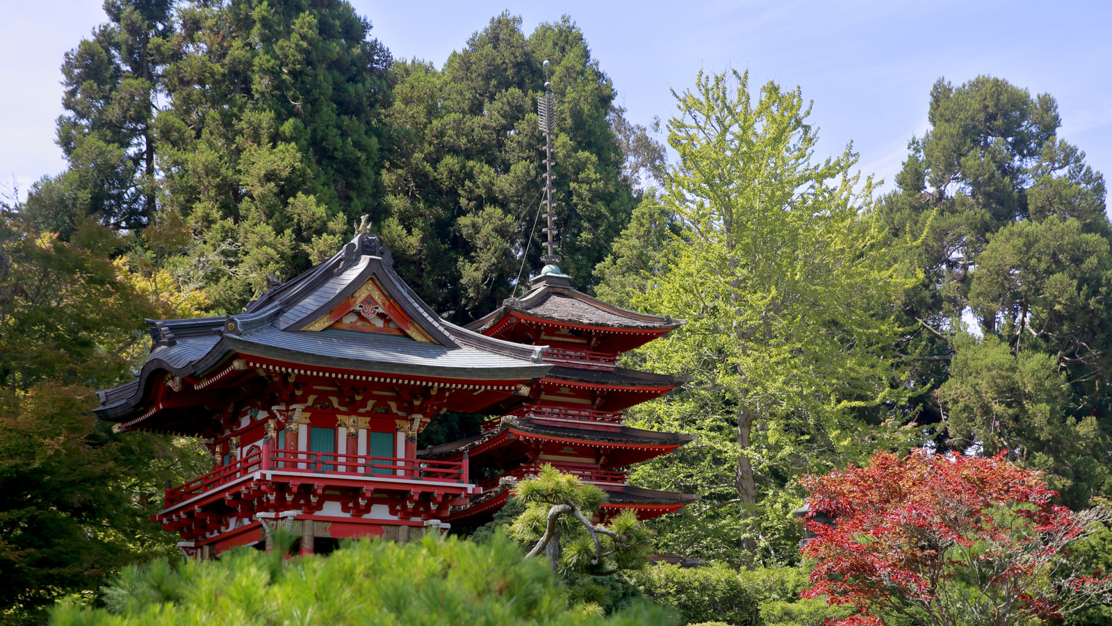 This Serene San Francisco Tourist Destination Is A Walkable Paradise ...