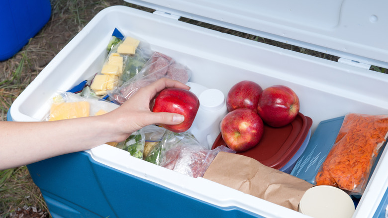 A hand taking an apple out of a cooler filled with food