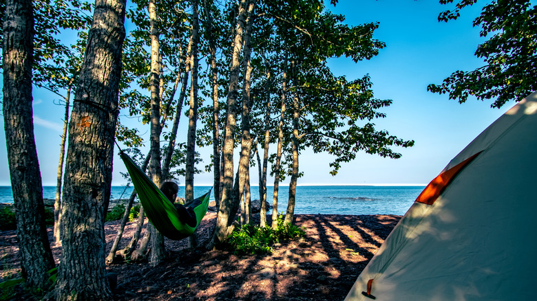A camper in a hammock between trees next to Lake Superior