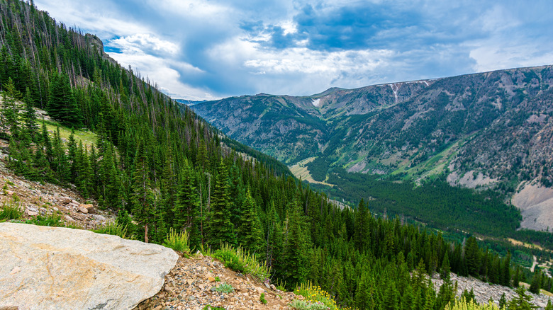 Viewpoint off Beartooth Highway