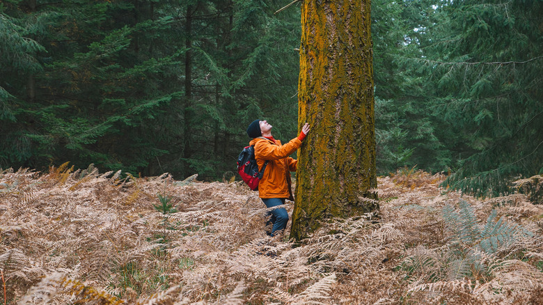 A man in an orange jacket caresses a large, mossy tree