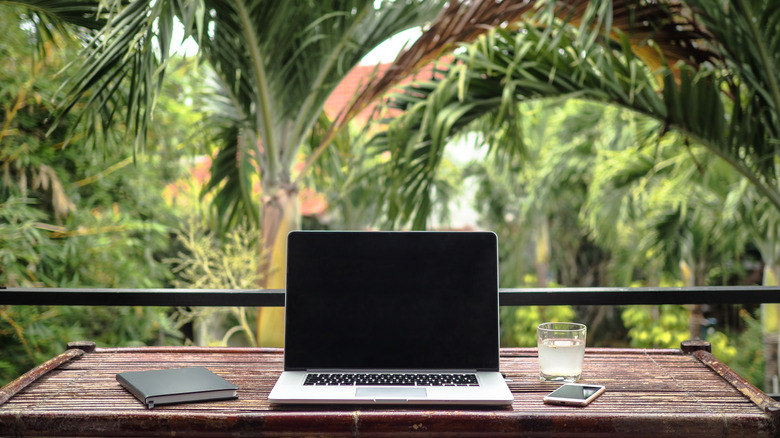 Laptop on a table in jungle