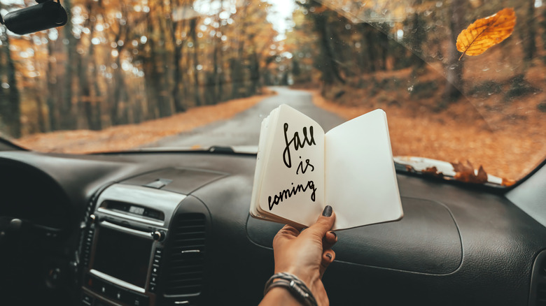 Woman holding notebook during road trip 