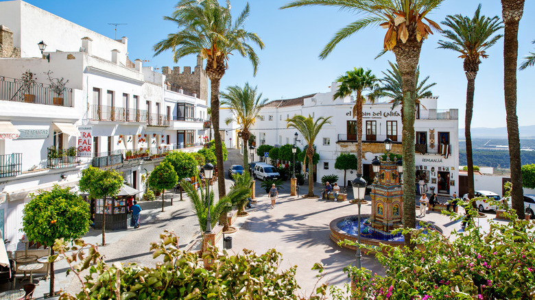 Palms, white buildings, and a fountain in the central square of Vejer de la Frontera