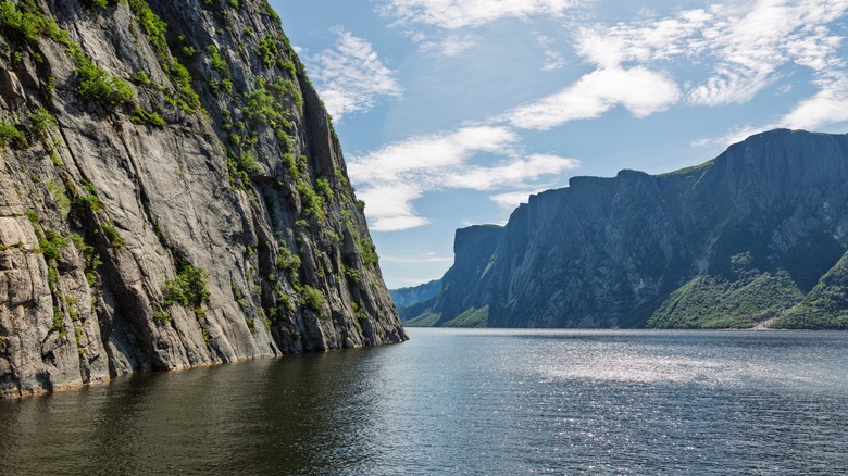 Fjords rising high out of the water