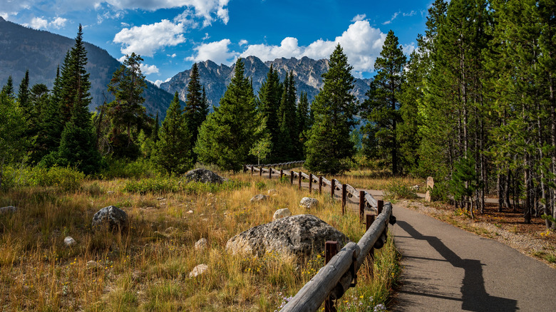 Paved Hiking Trail at Jenny Lake in Grand Teton National Park in Wyoming
