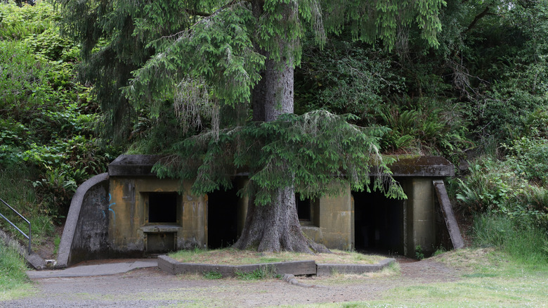 Close friends relaxing camping together in nature on sunny day