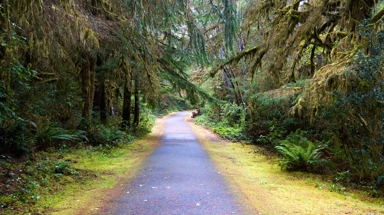 Fort Stevens State Park, Oregon, USA