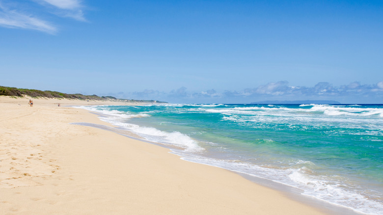polihale beach at polihale state park, kauai, hawaii