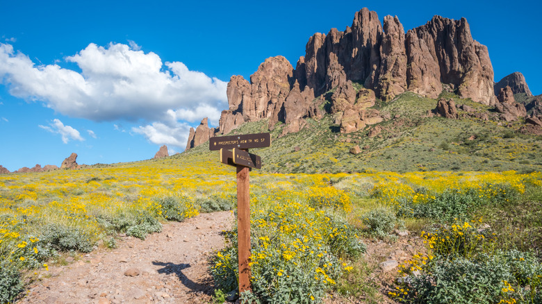 Trail signage in the Arizona desert