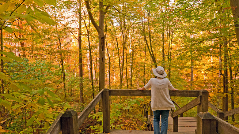 woman exploring brown county