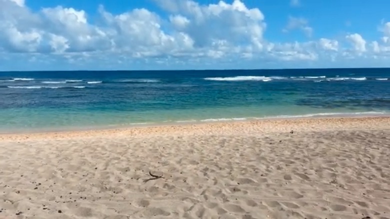 Mokule'ia Army Beach, O'ahu, Hawai'i