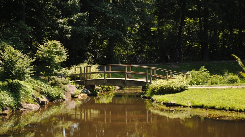 A wooden bridge crosses a stream in Brookside Gardens