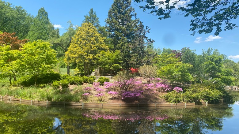 A pond in Brookside Gardens on a sunny day in Wheaton Regional Park