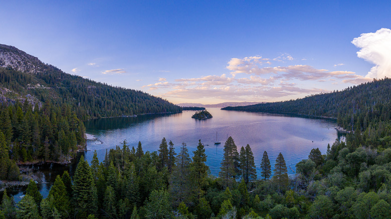 Forest surrounding Emerald Bay State Park at dusk.